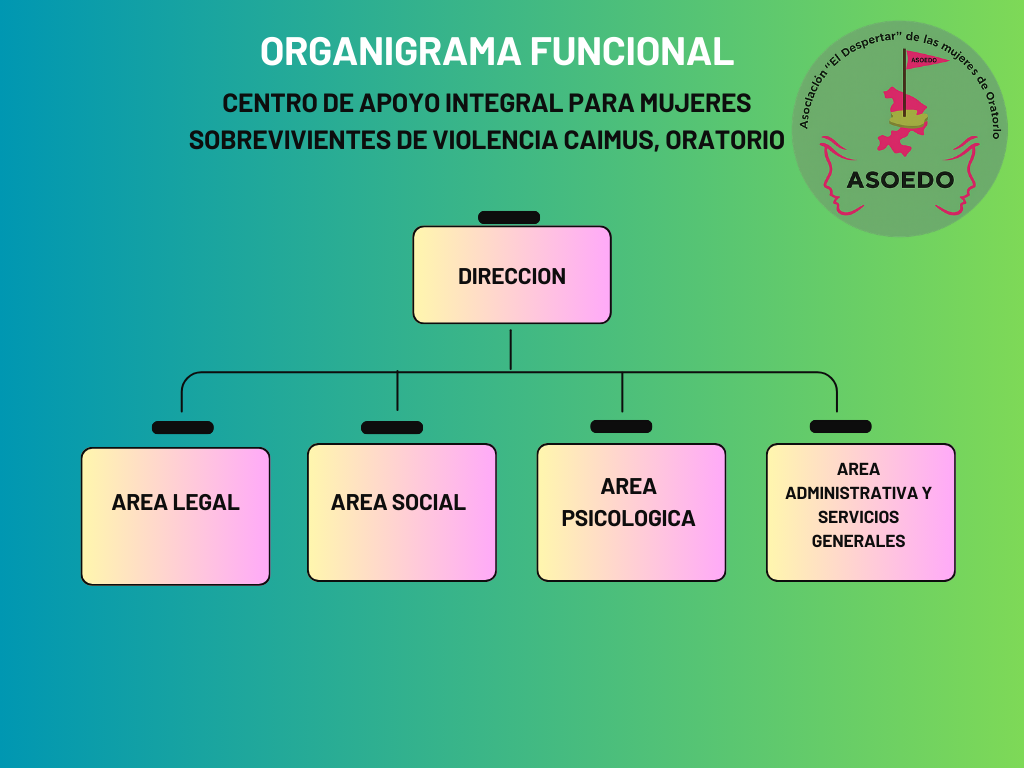 Organigrama ASOEDO 2026